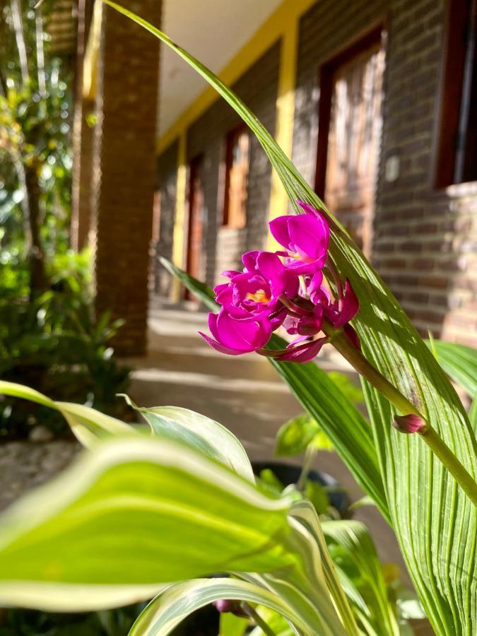 Hotel Pousada Aruana Porto Seguro Zewnętrze zdjęcie